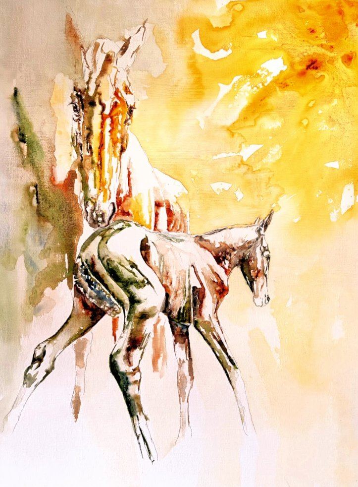 Mare & Foal